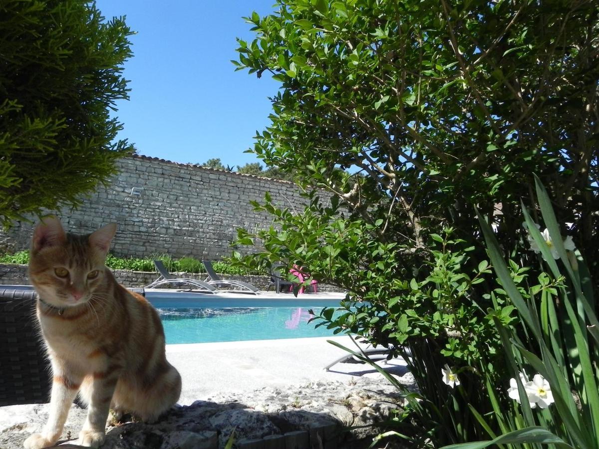 Villa Del Re 10 La Flotte Dış mekan fotoğraf